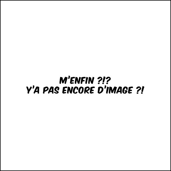 photo auteur : bientôt en ligne